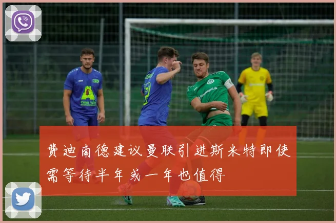 费迪南德建议曼联引进斯米特即使需等待半年或一年也值得