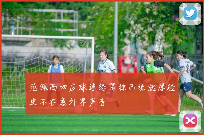 范佩西回应球迷怒骂称已练就厚脸皮不在意外界声音