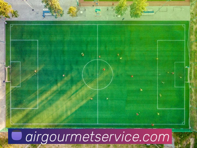 aoa网页版入口发展历程